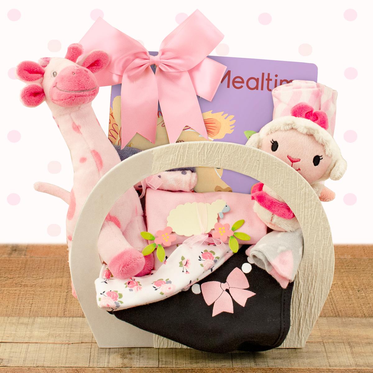 Welcome Home Baby Girl Starter Gift Basket