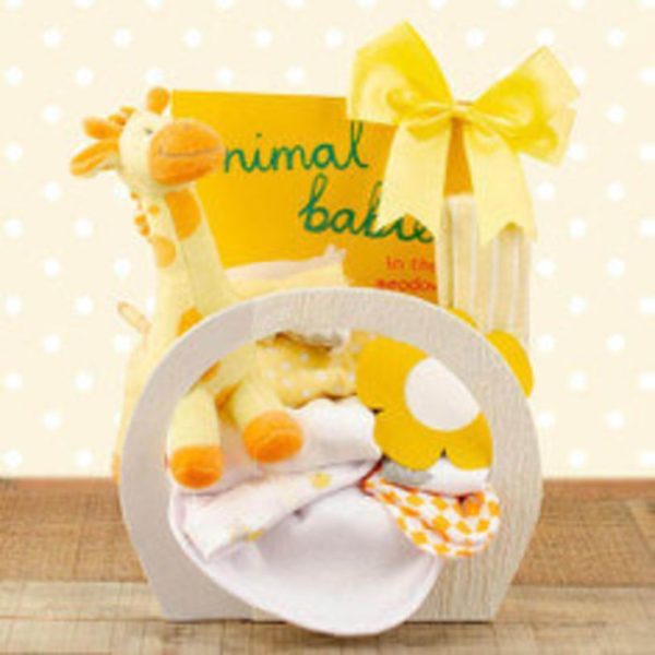 Welcome Home Baby Starter Gift Basket