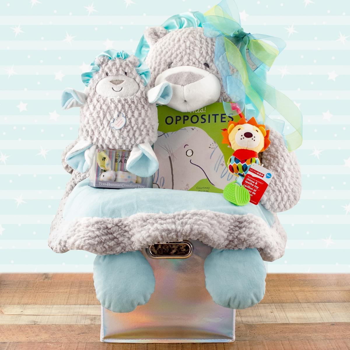 Lion Mat Fun Gift Basket