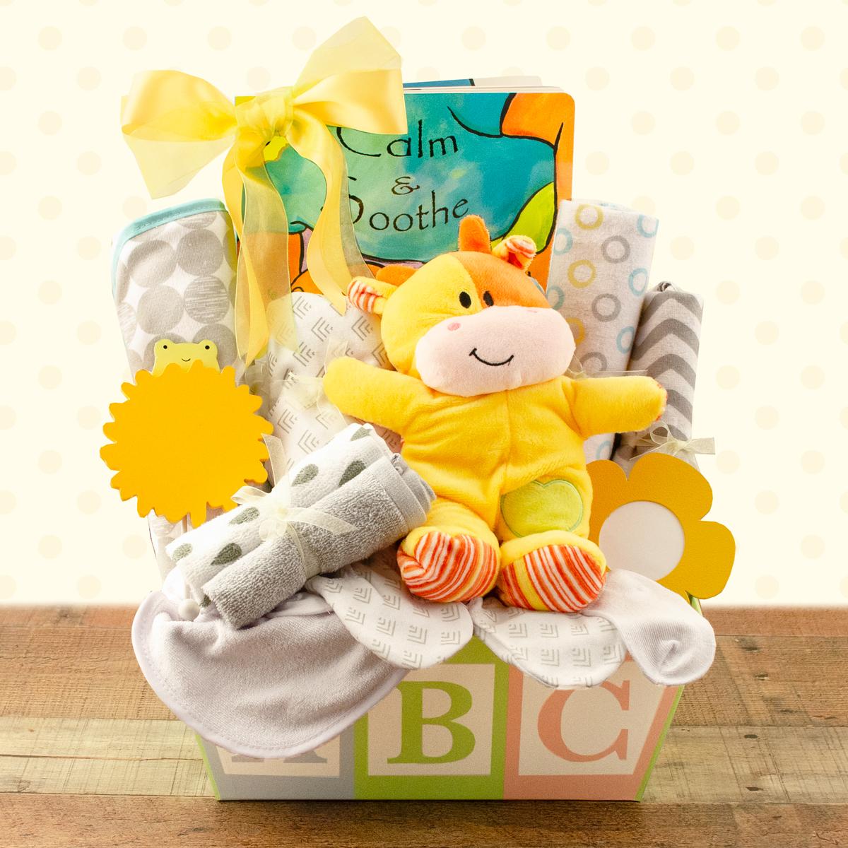 Welcome Home Baby Medium Gift Basket