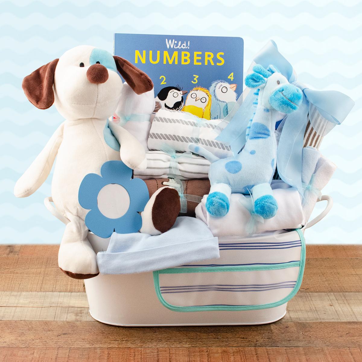 Welcome Home Baby Boy Large Gift Basket