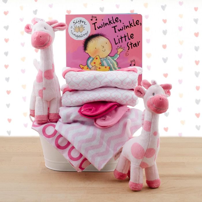 Terrific Twins Gift Basket - Girl, Girl